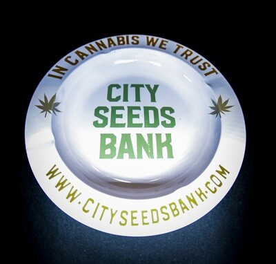 CITY SEEDS BANK