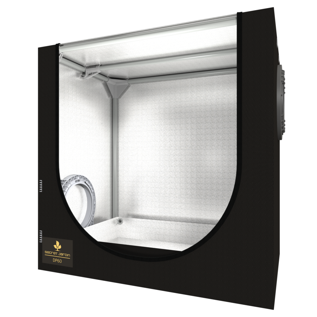 Dark Propagator 60