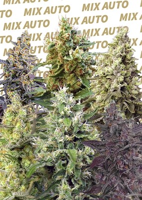 SWEET MIX AUTO