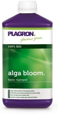 ALGA BLOOM