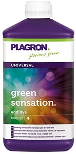 GREEN SENSATION