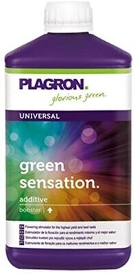 GREEN SENSATION