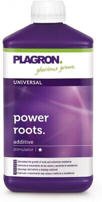 POWER ROOTS