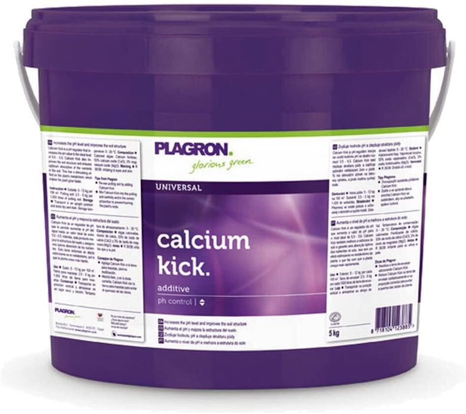 CALCIUM KICK