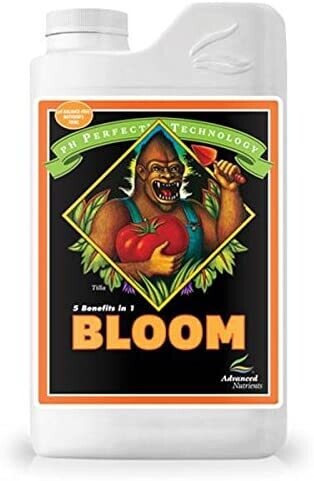 BLOOM