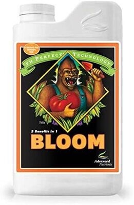 BLOOM