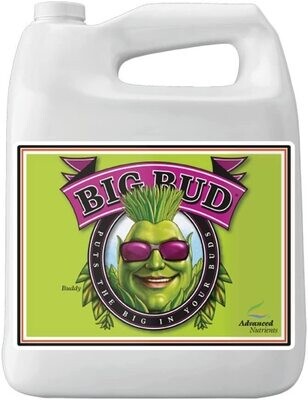 BIG BUD