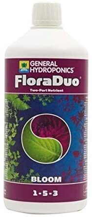 FLORA DUO BLOOM