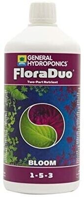 FLORA DUO BLOOM
