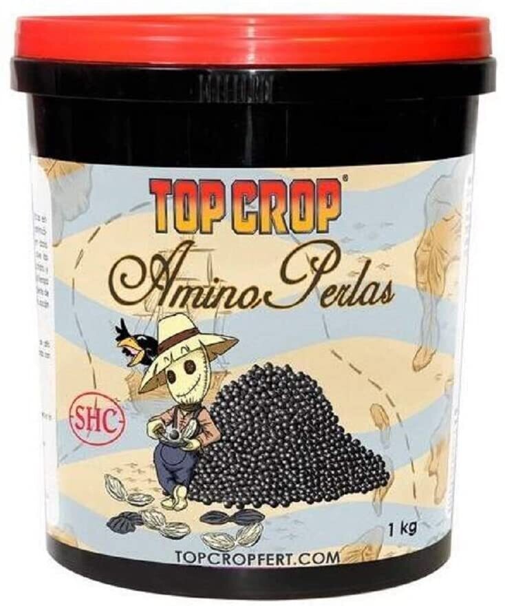 AMINO PERLAS