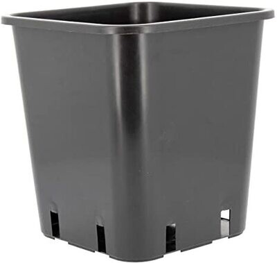 VASO QUADRATO