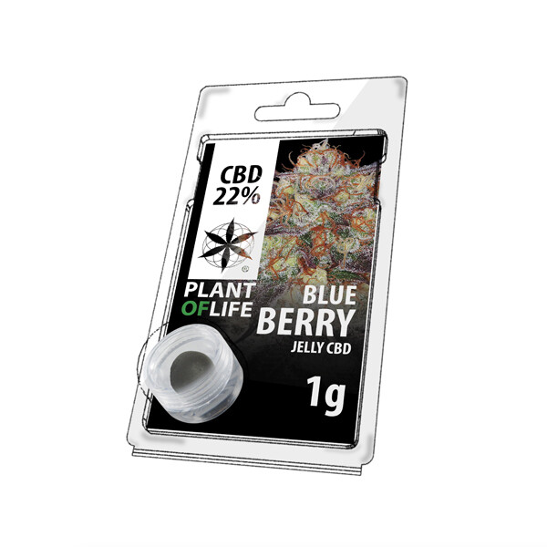 BLUE BERRY HASH 1G