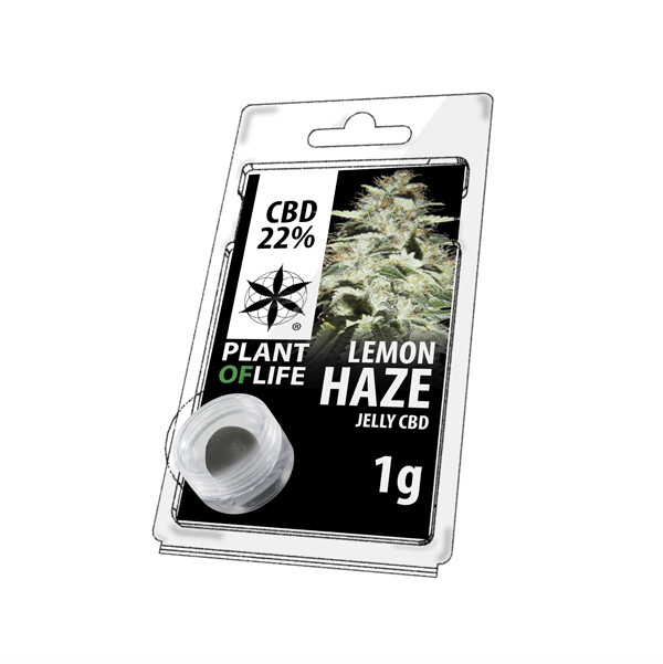 LEMON HAZE HASH 1G