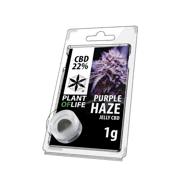 PURPLE HAZE HASH