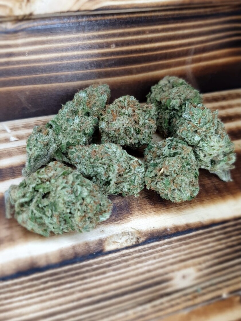 GELATO