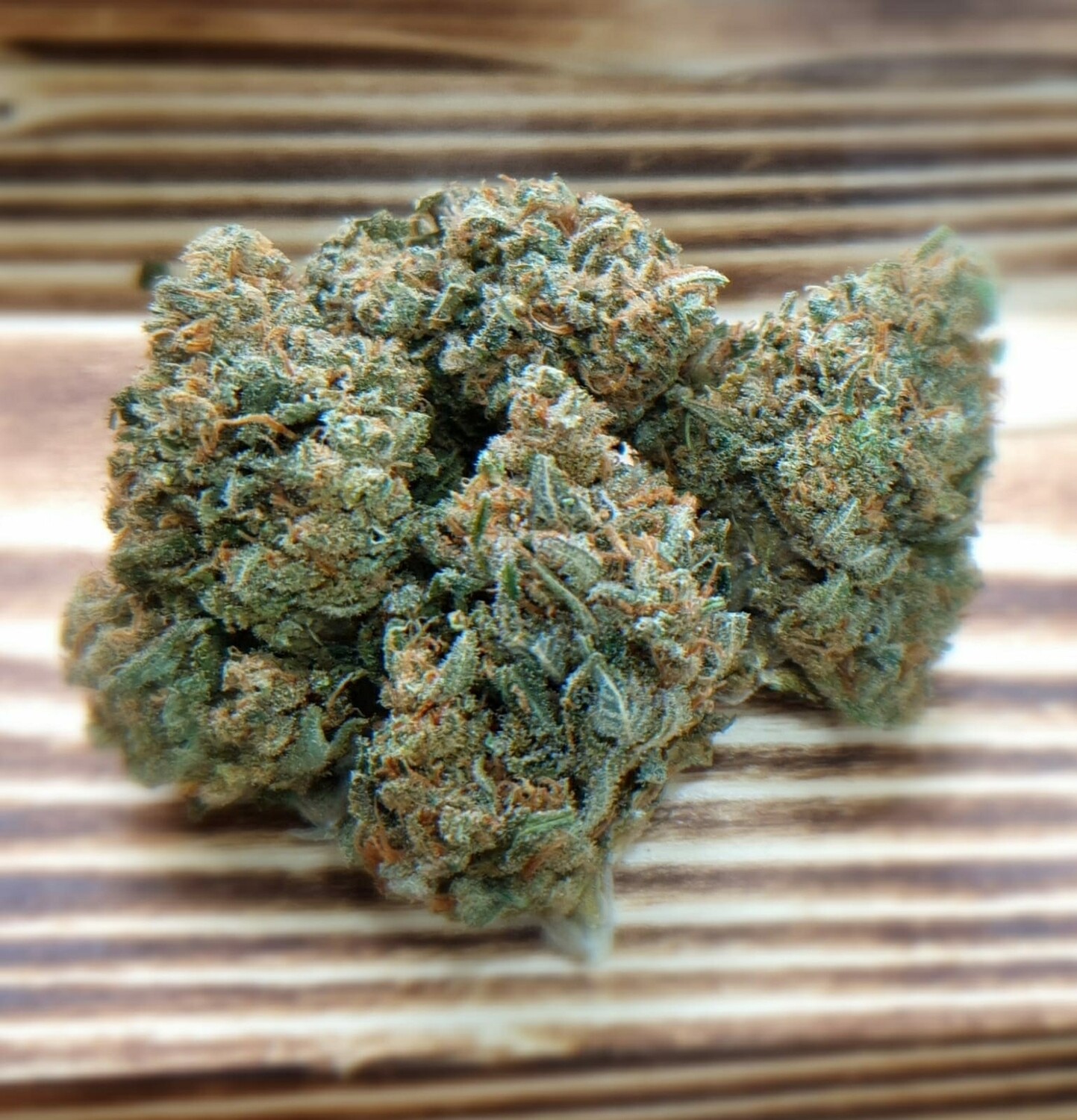 VANIGLIA KUSH