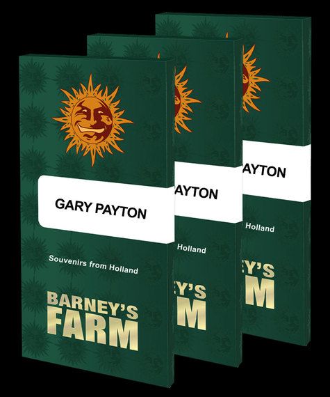 GARY PAYTON