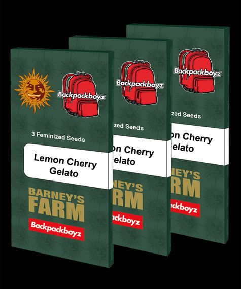 LEMON CHERRY GELATO