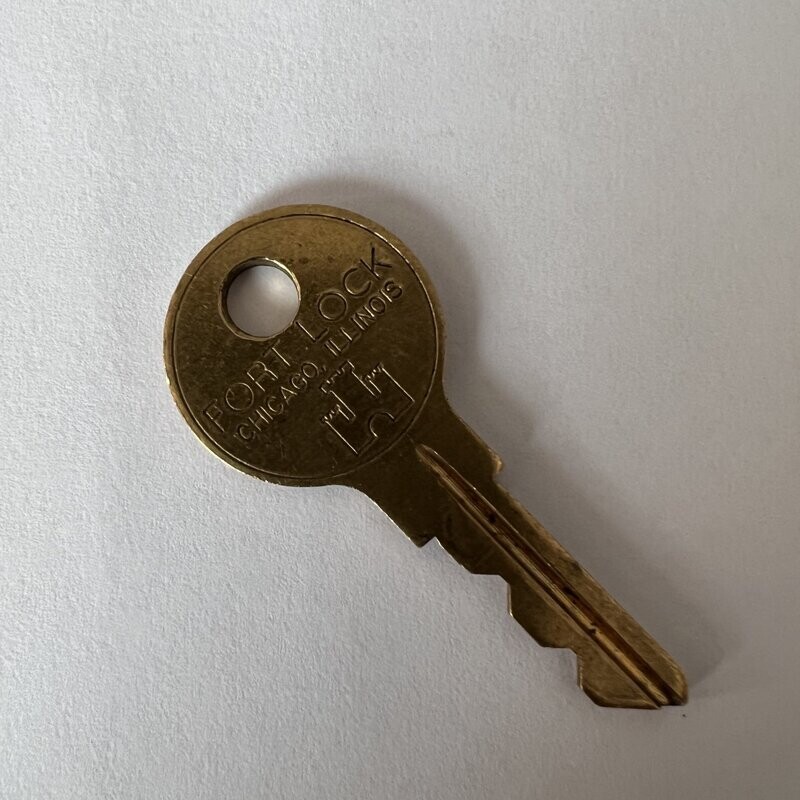 Original Löwen Dart Schlüssel L54G (Fort Lock) - nach Wahl (Nr. 001 - 099) - Versand kostenlos