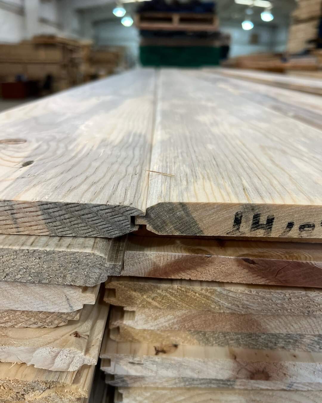 California Blue Wormy Sugar Pine Tongue and Groove