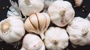 Garlic 500ml