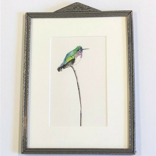 Cline 'Hummingbird' (silver) Ink+Watercolor