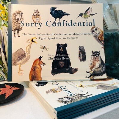 Christina Evans Book - Surry Confidential