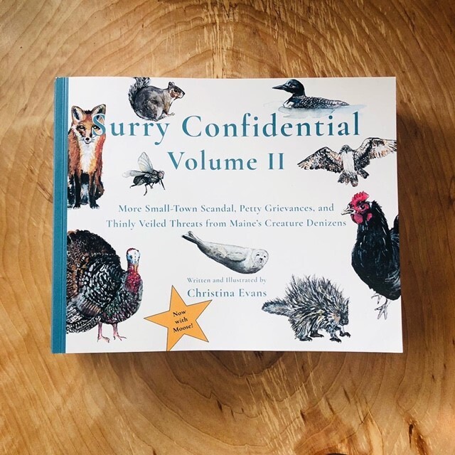 Surry Confidential - Vol 2