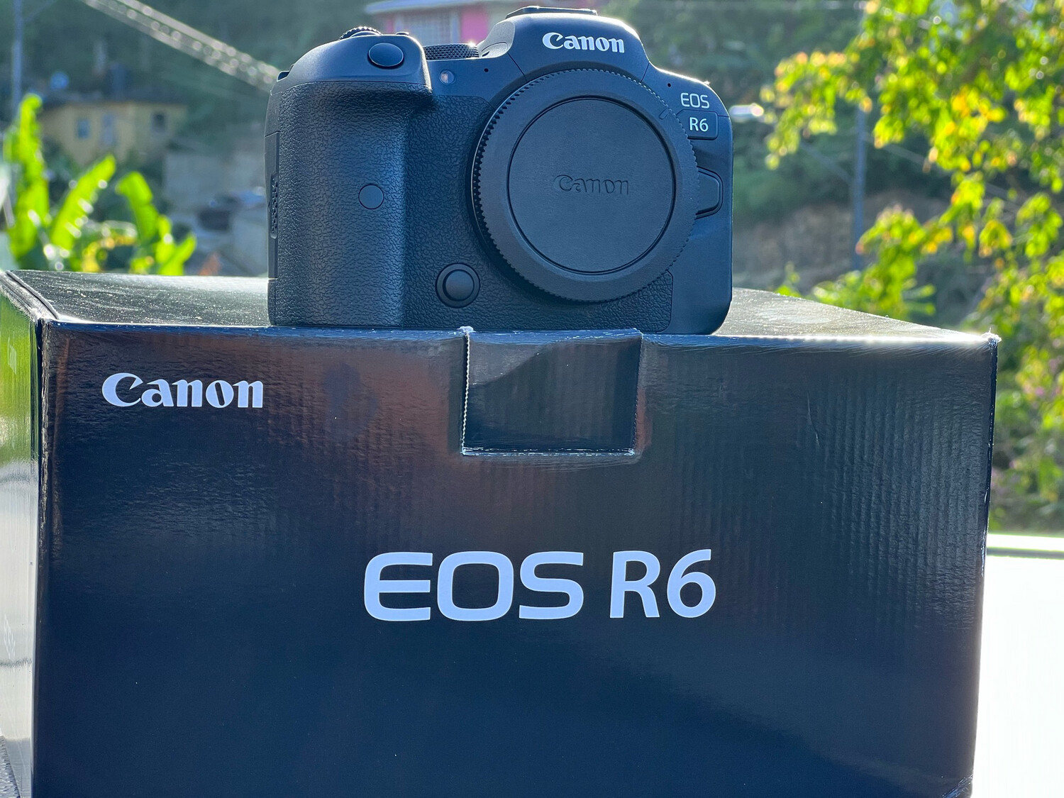 USED Canon EOS R6 Mirrorless Camera