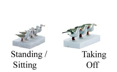 SEAGULLS, SITTING & FLYING (6), unpainted; MTS-OD2028