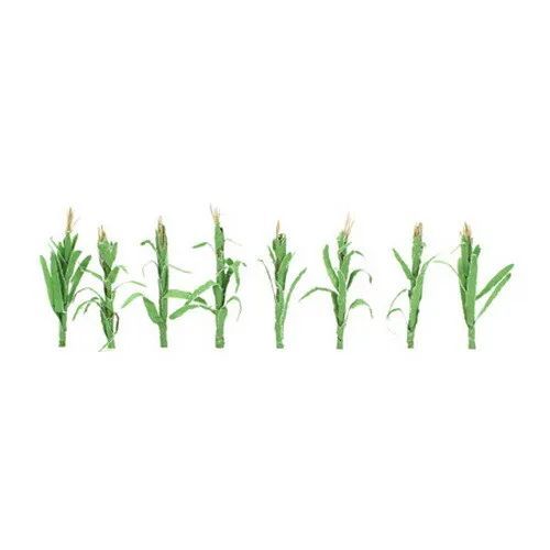 CORN STALKS ( 1" tall) (PKG/36)----CLOSE-OUT; (have 2 left)