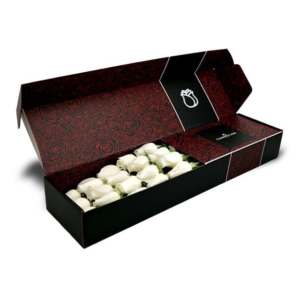 Rose Rouge Classique | White