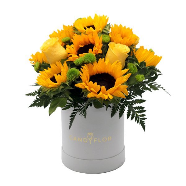 Boite Ronde Yellow Yellow