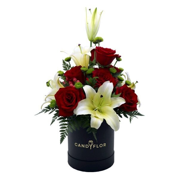Boite Ronde Red White