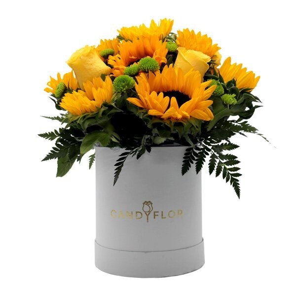 Boite Ronde Yellow Yellow