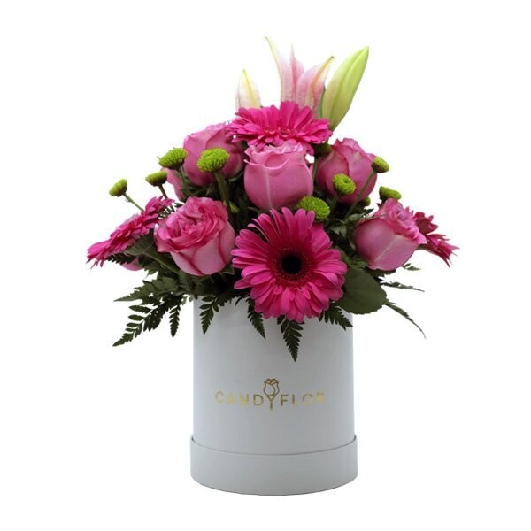 Boite Ronde White Fuchsia