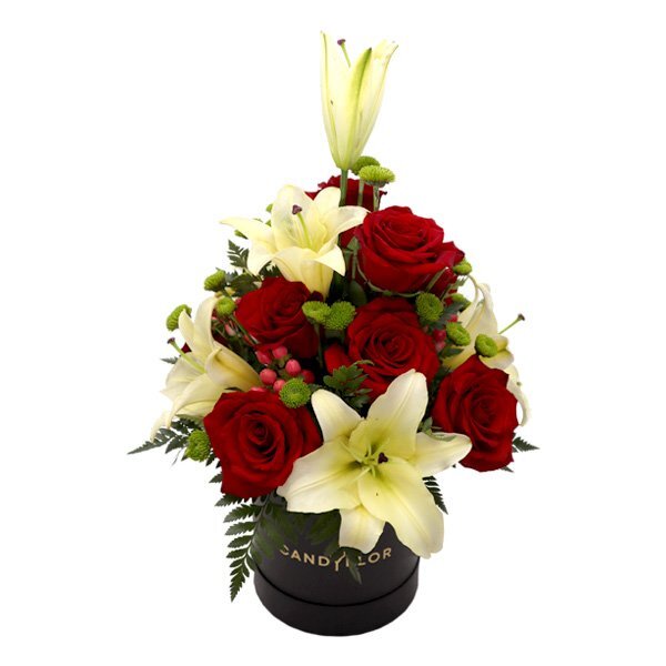 Boite Ronde Red White