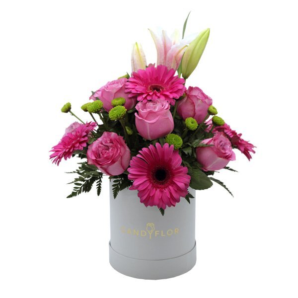 Boite Ronde White Fuchsia