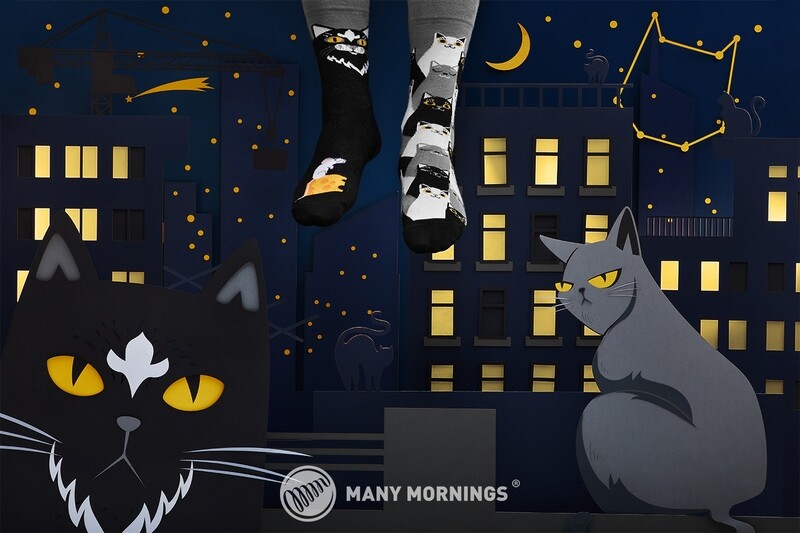 Many Mornings Black Cat