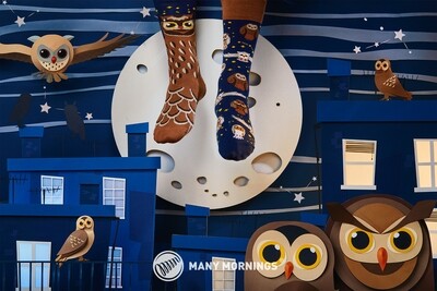 Many Mornings Owly Moly