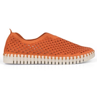Ilse Jacobsen flats, camelia