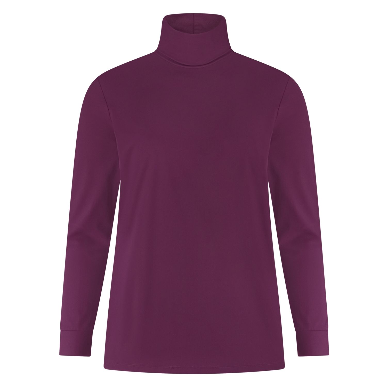 Plus Basics Turtle Neck, Burgundy