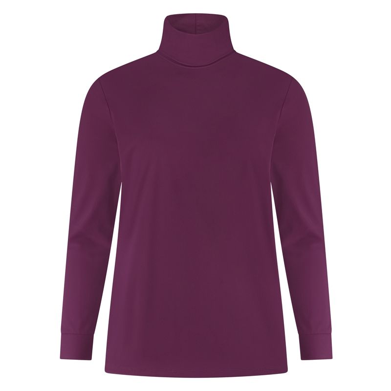 Plus Basics Turtle Neck, Burgundy