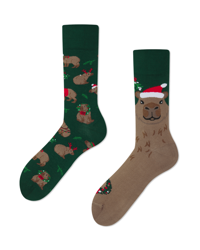 Many Mornings Merrybara, multi