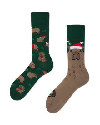 Many Mornings Merrybara, multi Many Mornings Merrybara, multi