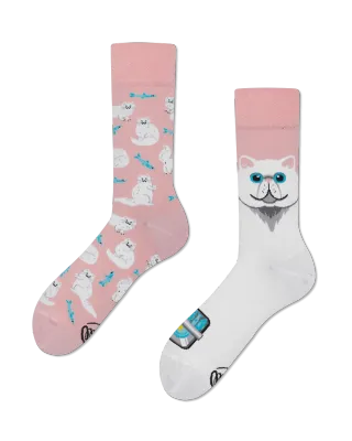 Many Mornings White Cat, roze