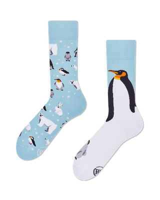 Many Mornings Frosty Friends Many Mornings Frosty Friends