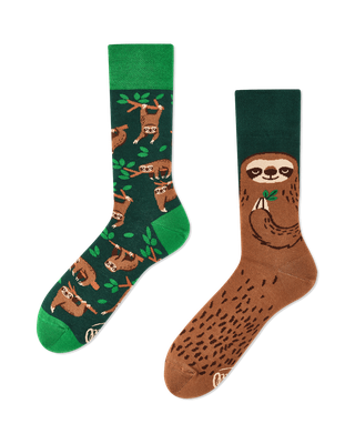 Many Mornings, Sloth Life Many Mornings, Sloth Life