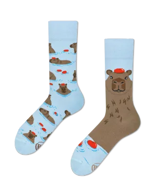 Many Mornings Capibara Many Mornings Capibara