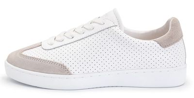 SUNY Sneaker 7420